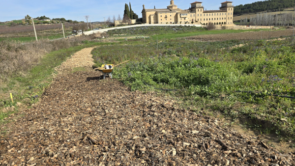 European Food Forest Project